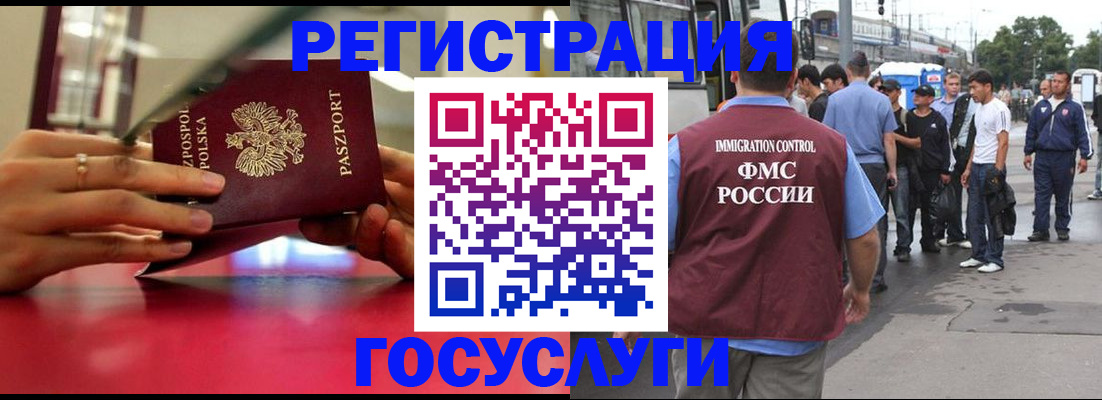прописка поиск в Курчалом